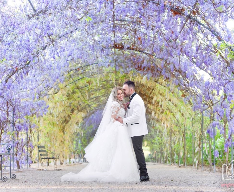 Impressions Photography Studio